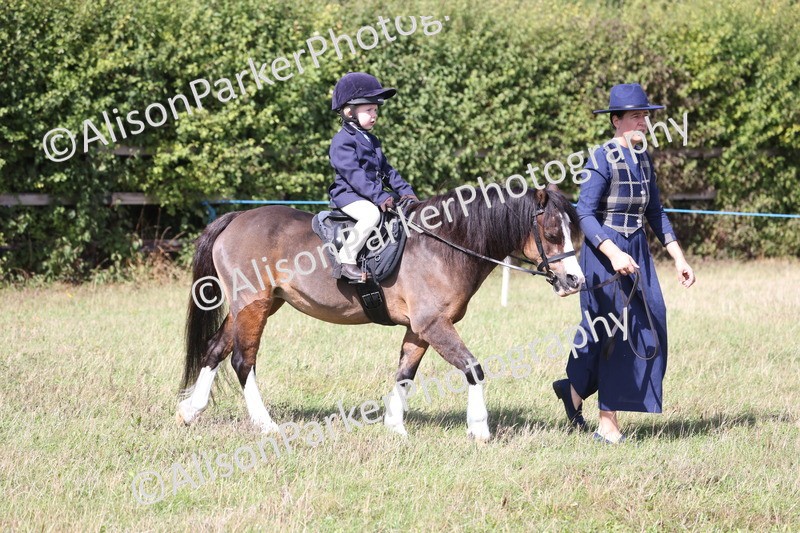 20260906-2723 - Class 25 - Absolute Beginners Pony