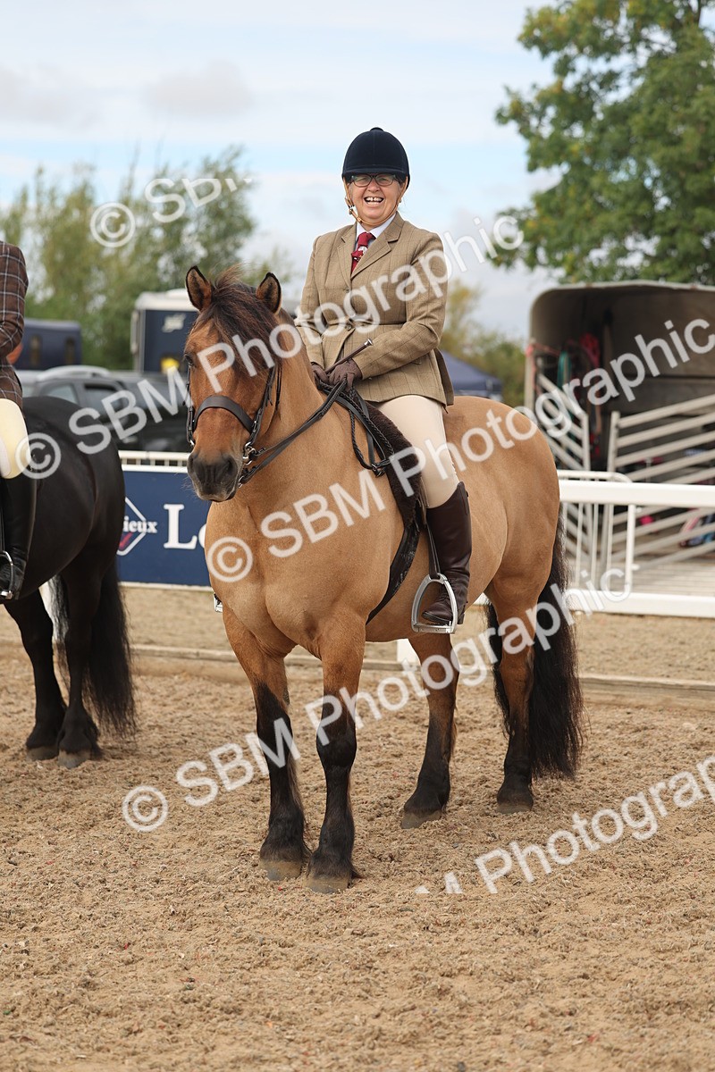 SBM_01964 - Class 14 - Ridden M&M Wildcard