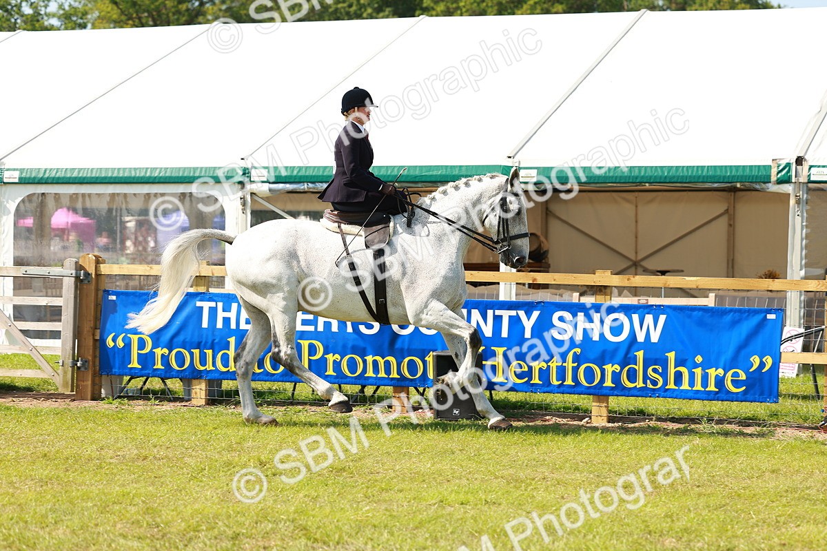 SBM_13134 - Class 70-71 - Side Saddle