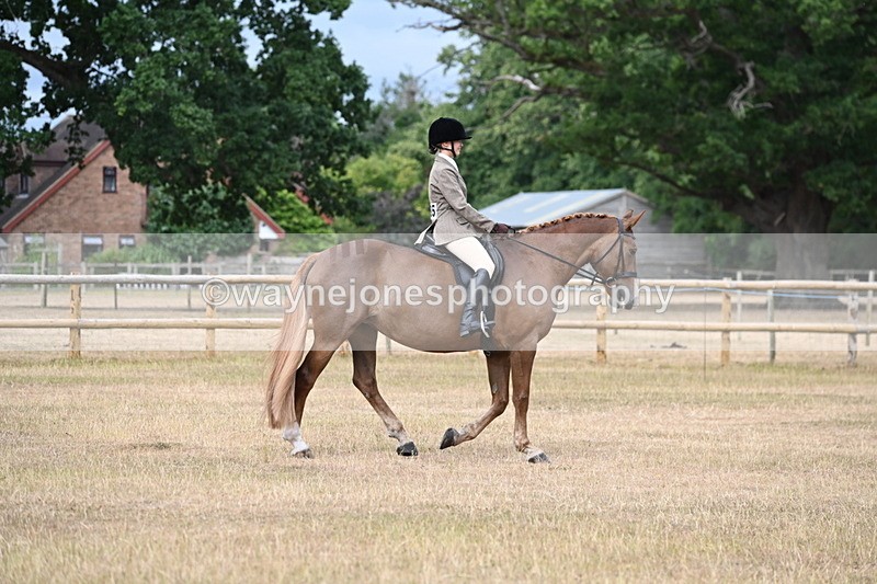 WJ6_7510 - Class 9 Tack and Turnout