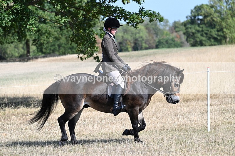 WJ7_2909 - Class 8 Ridden Tack & Turnout