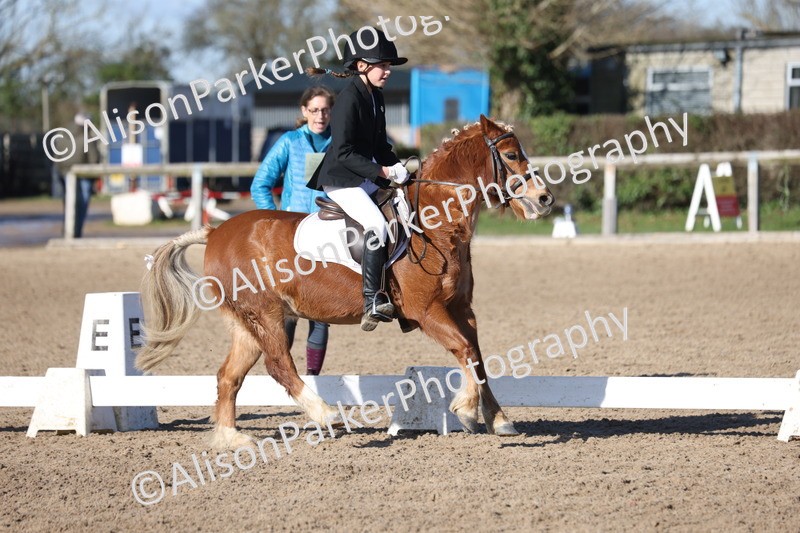 20260214-0362 - Class 4 - Novice 2