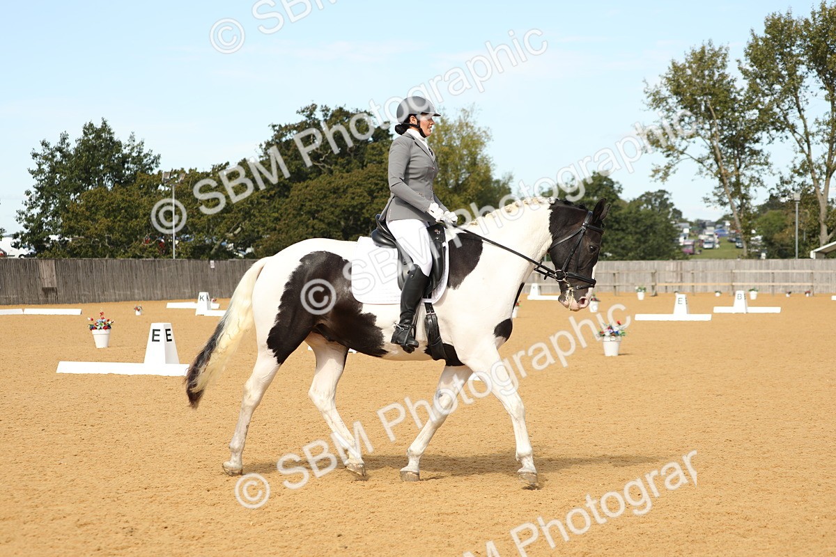 SBM_22225 - D17 - Grand Tour Championship - Novice 27