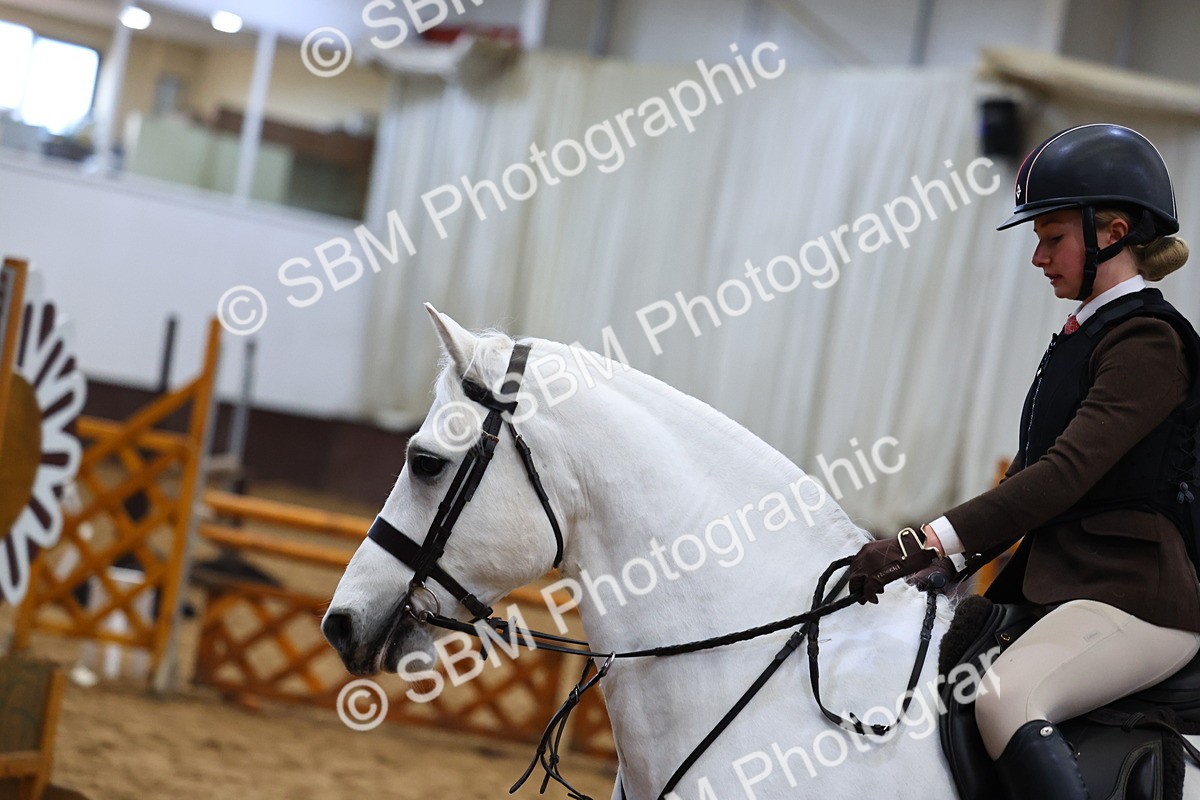 SBM_006486 - Class 43 - RIHS Qualifier Exceeding 43cms