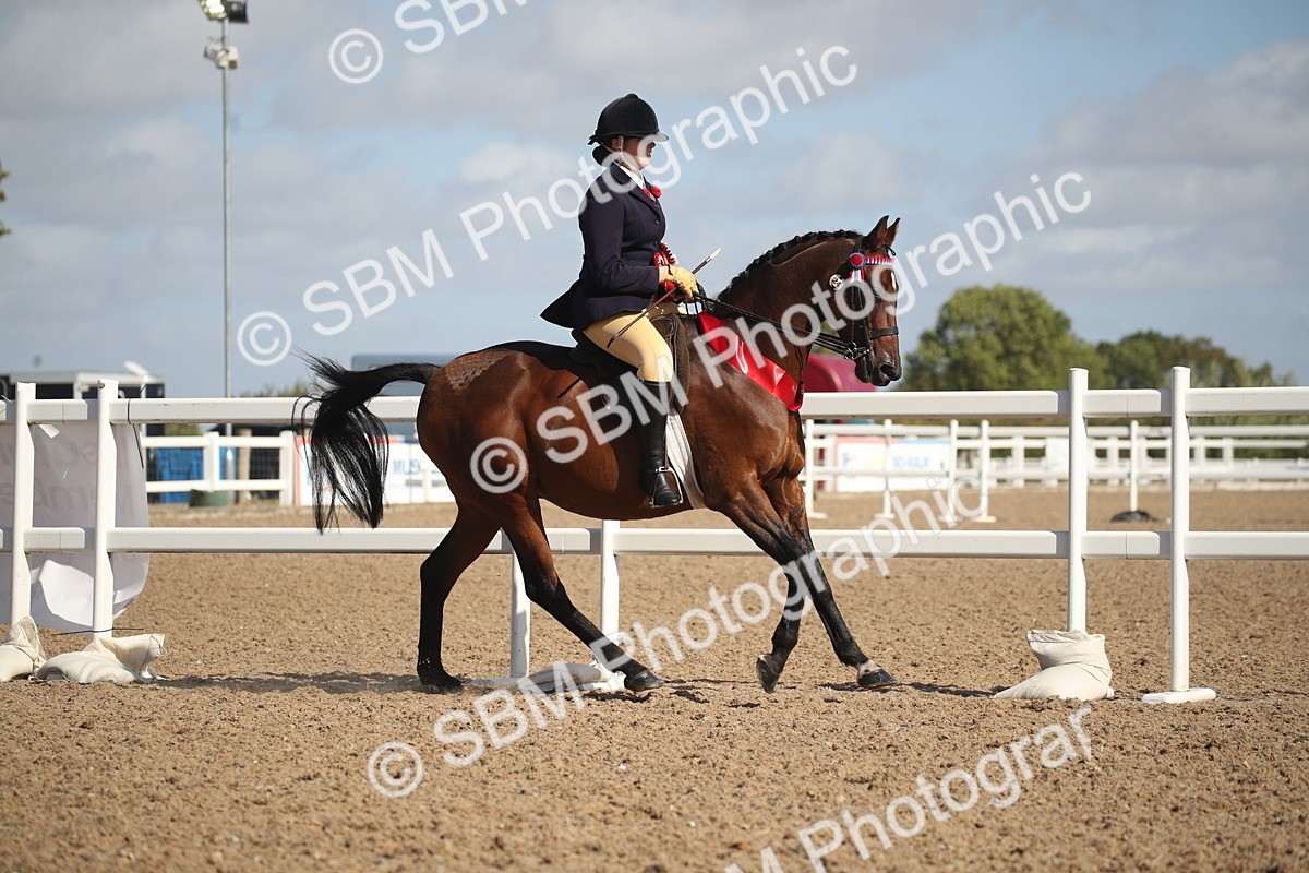 SBM_22884 - Class 602 - 2026 Area - Ridden Veteran