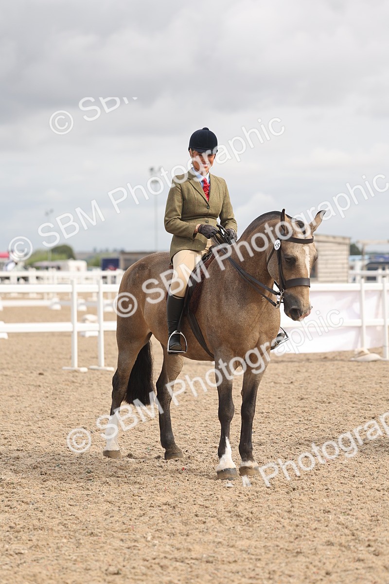 SBM_04543 - Class 19 - Horse/Pony Judge would most like to take home