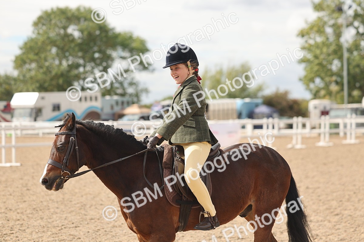 SBM_15908 - Class 310 - First Ridden Pony