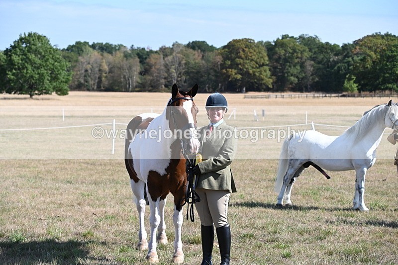 WJ6_4330 - Class 16 Condition & Turn Out