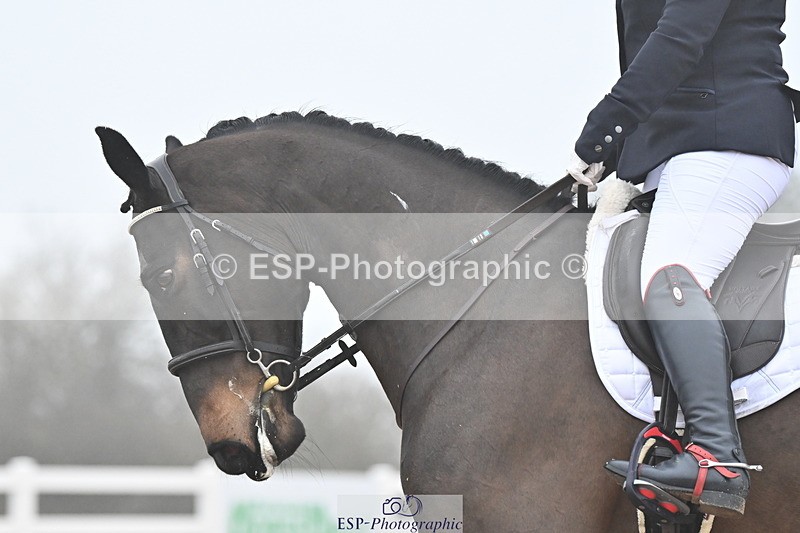 240217A-094517-00437 - 136-JANE.GREGORY-RUTHIES.DREAM