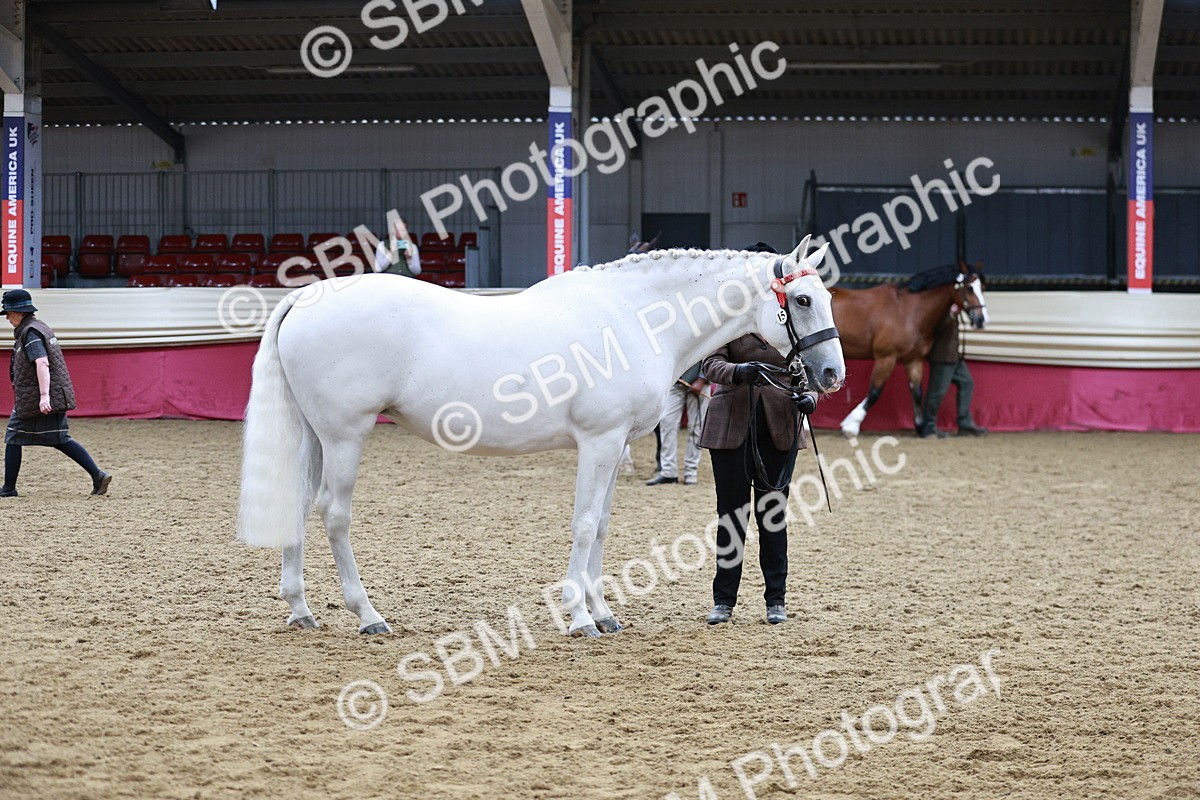 SBM_01236 - Class 3A - Area IH Pre-Vet