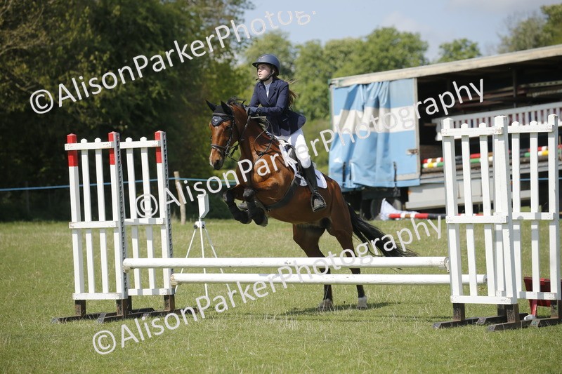 20250427-3506 - Class 14 - Absolute Novice 70cm