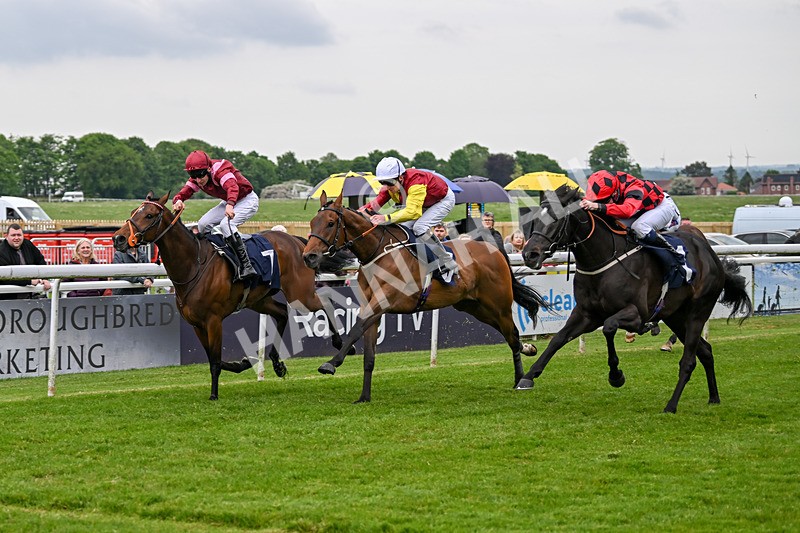 140524-Race 6-Flickering Halo-2735 - Race 6