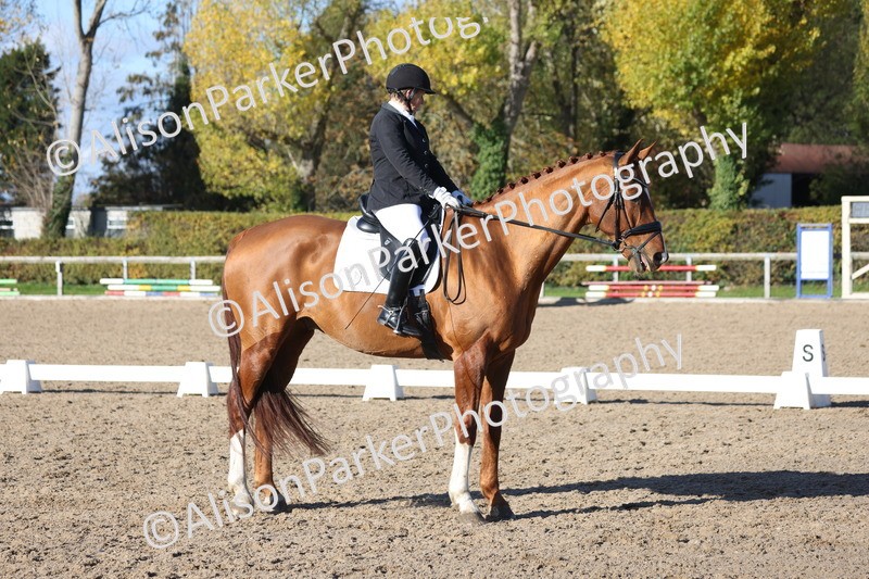 20251102-0960 - Class 5 - Elementary 5