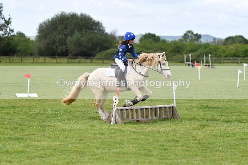 WJ5_2720 - Class 2 40cm