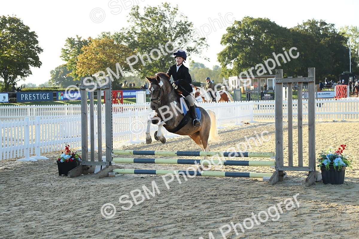 SBM_34867 - J5 - Junior Pony 50cm Championship
