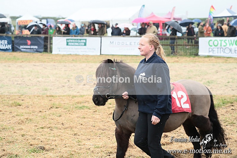 SHETPR 210425 19 - Shetland Ponies Paxford Races 21/04/25
