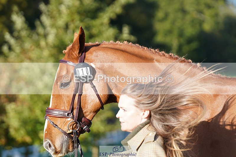 241026-101836-11768 - 010-Julia.Norman-SCOTCH.ON.THE.ROCK'Z