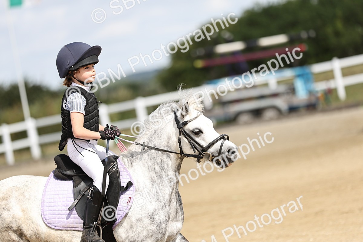SBM_004701 - 70cm showjumping