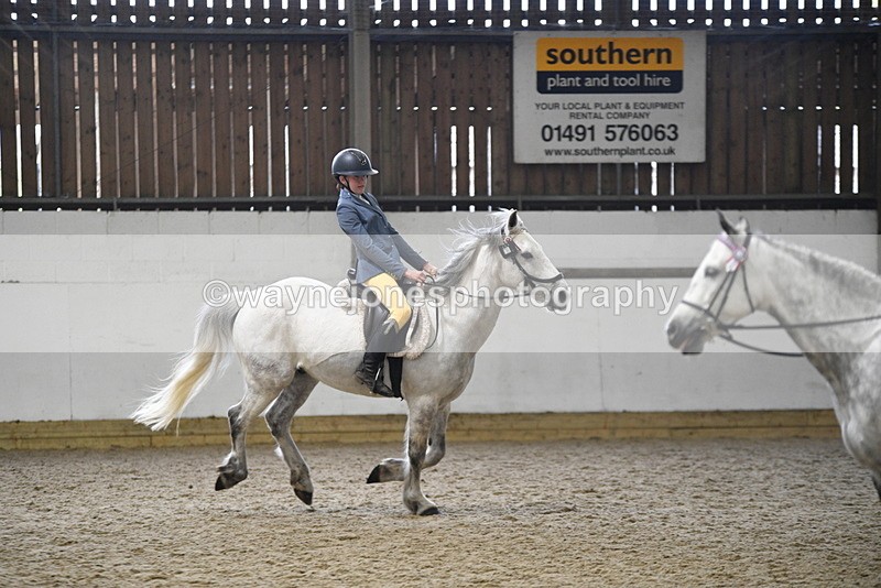 WJ5_7928 - Class 13 Ridden Part Breed