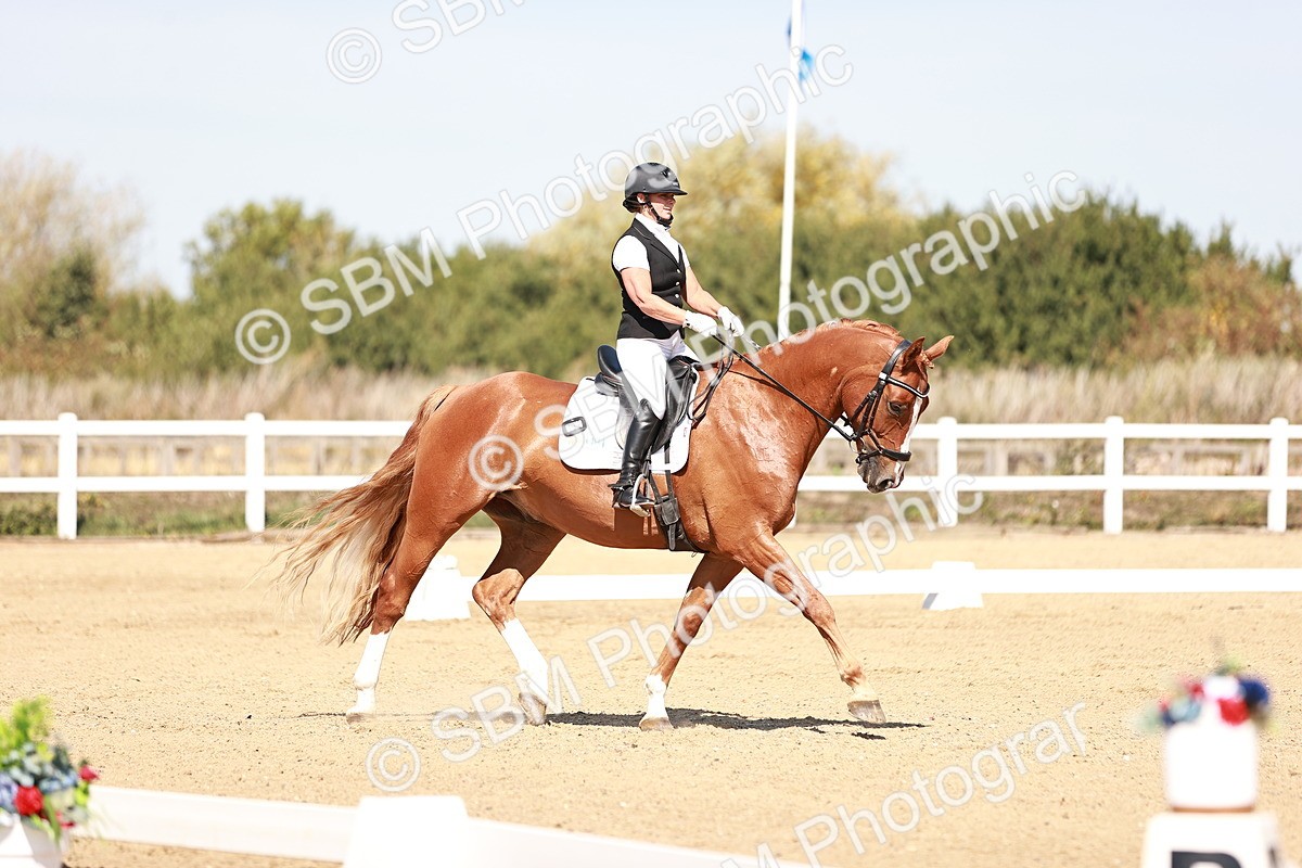 SBM_004562 - Class 12 - Novice 5 - 10.31-11.41