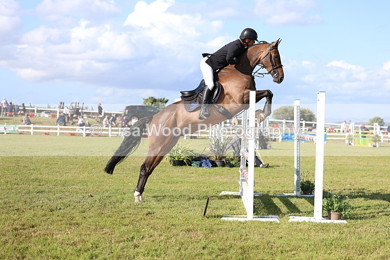 3E7A4309 - Class C: Showjumping Senior Foxhunter