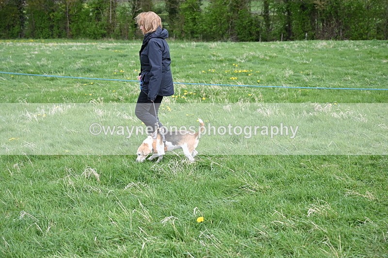 WJ6_8075 - Class 2 Best Pedigree