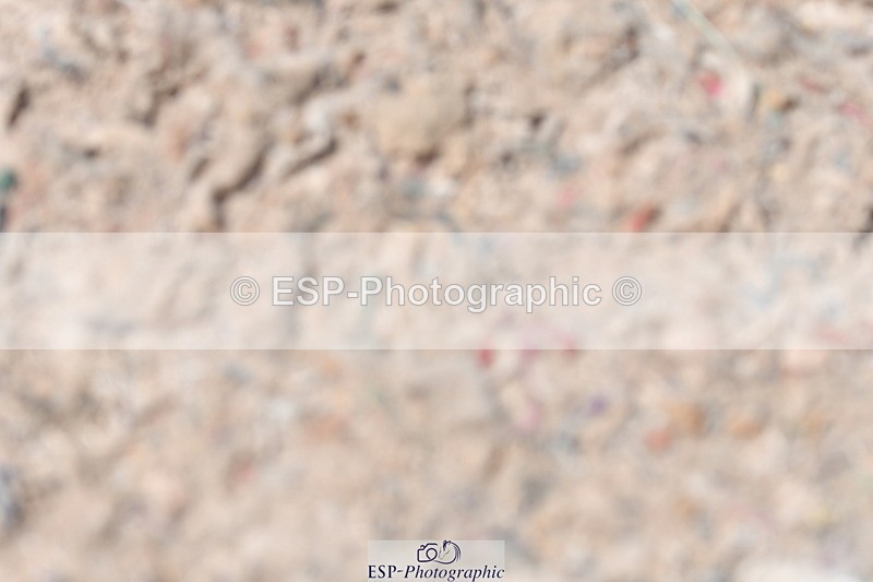 230520A-134235-01388 - Cls 6 Novice 30