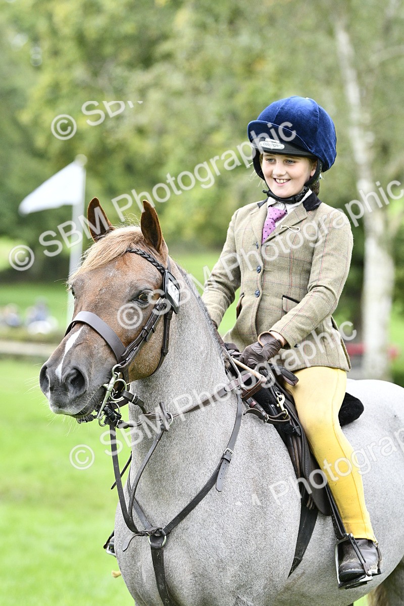 SBM_41320 - S32 - Mountain & Moorland Working Hunter Pony