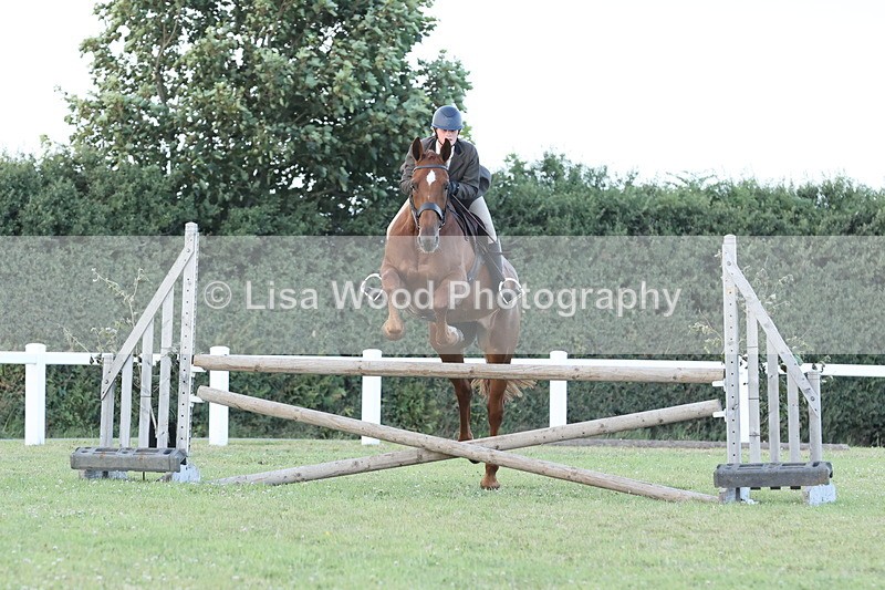 JPP_3658 - Class 24: Open Working Hunter