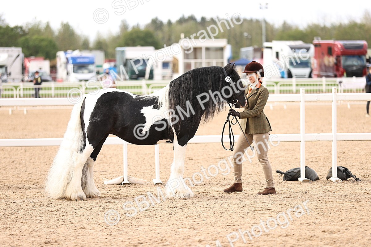 SBM_09296 - Class 404 - IH Traditional - Native Cob