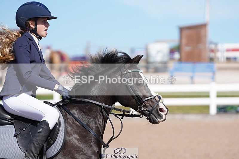 250627-162440-00072 - Cls 2 Pony Intro 80cm