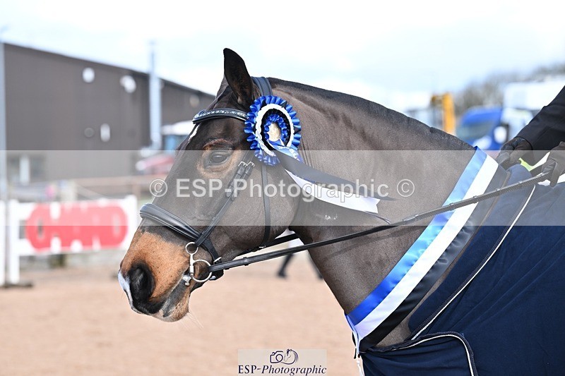 260228-105954-00131 - Dressage Presentations