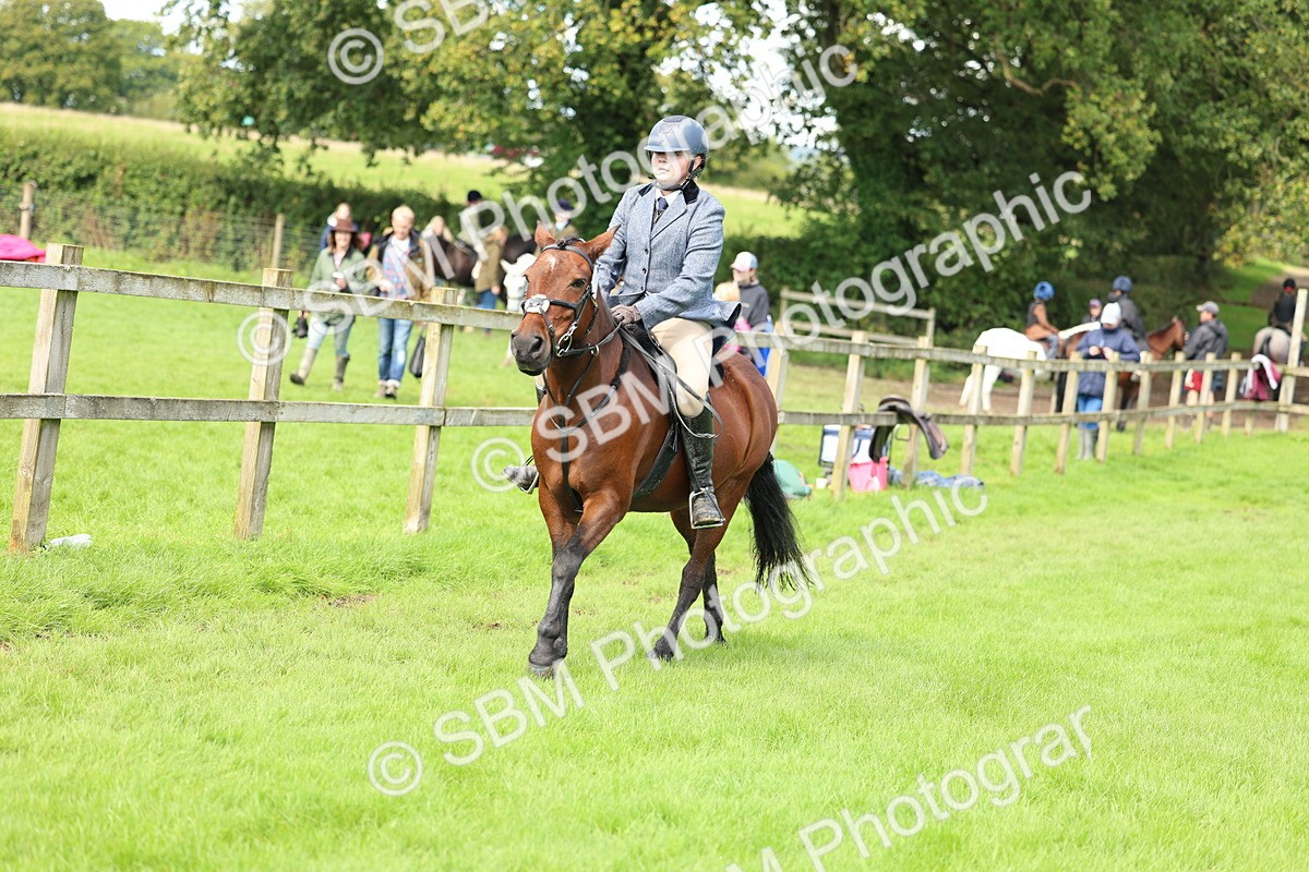 SBM_45412 - S33 - Working Hunter Pony