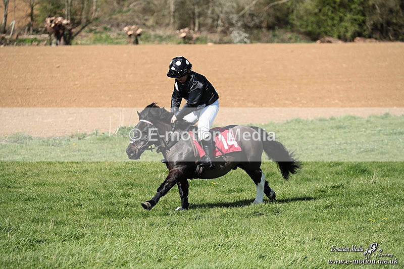 Shet 060426 321 - Shetland Pony Racing Paxford Races Easter Mon 06/04/26