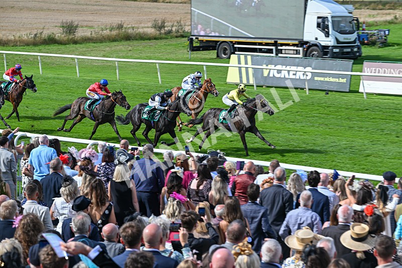 050926-Race 2-This Moment-2784 - Race 2 2.05pm JW4X4 Northallerton Nursery Handicap