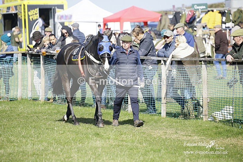 PtP 190322 337 - Wilton Hunt PtP Milborne St Andrew 19/03/22