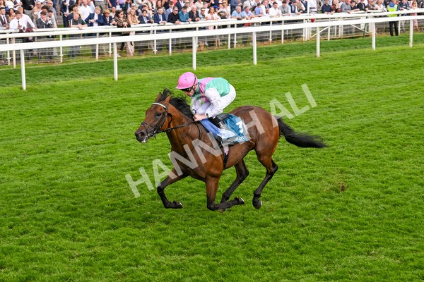 170524-Race 5-Lead Artist-8334 - Race 5 4.15pm  Darley EBF Novice Stakes