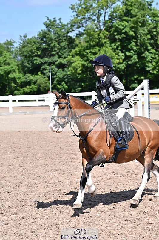 250517-115538-01037 - 40cm