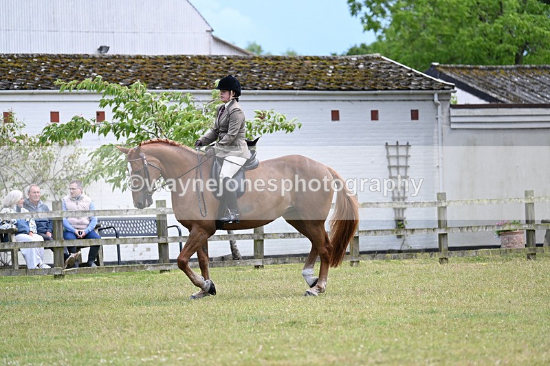 WJ7_9348 - Class 8 Ridden Veterans