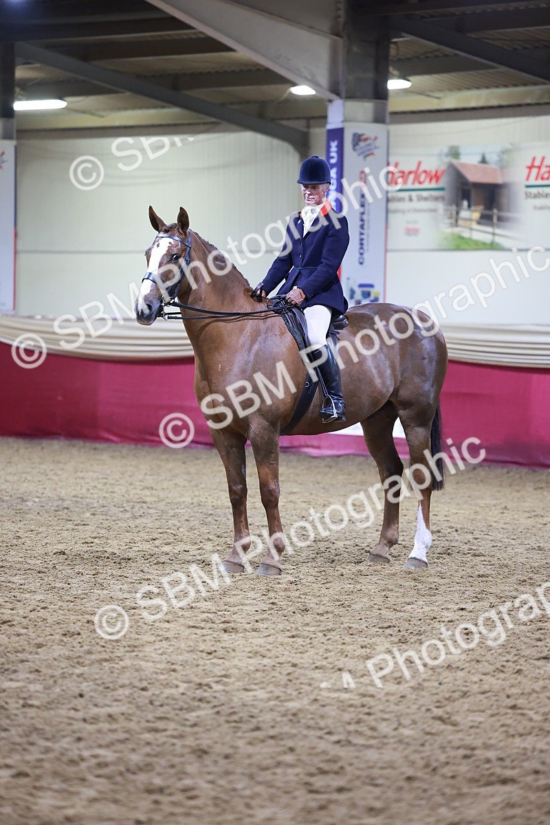SBM_15429 - Class Q - Ridden Horse Champ