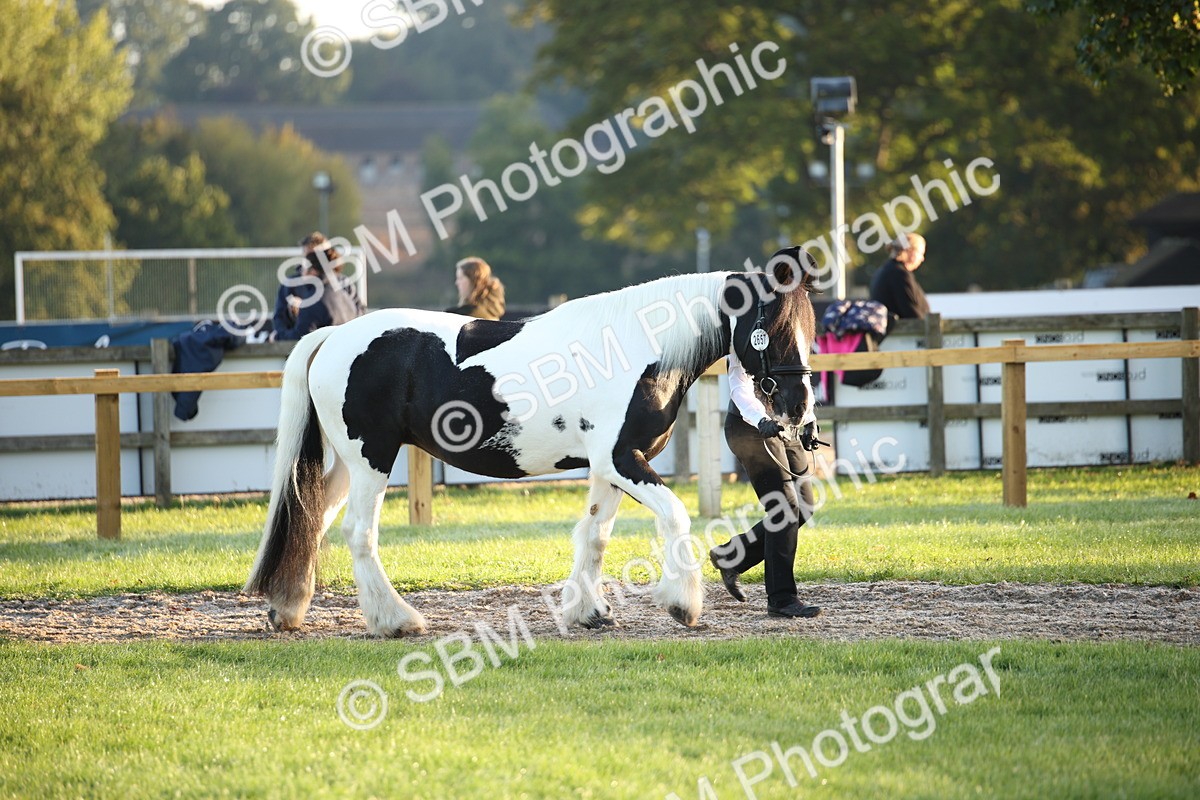 SBM_32250 - S8 - Best Turned Out