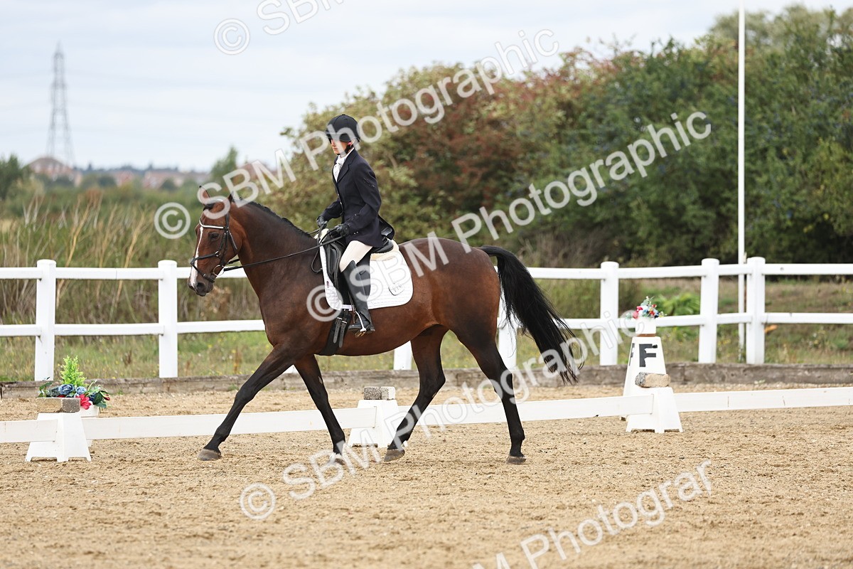 SBM_002670 - Class 7 - Novice 2 Warm Up