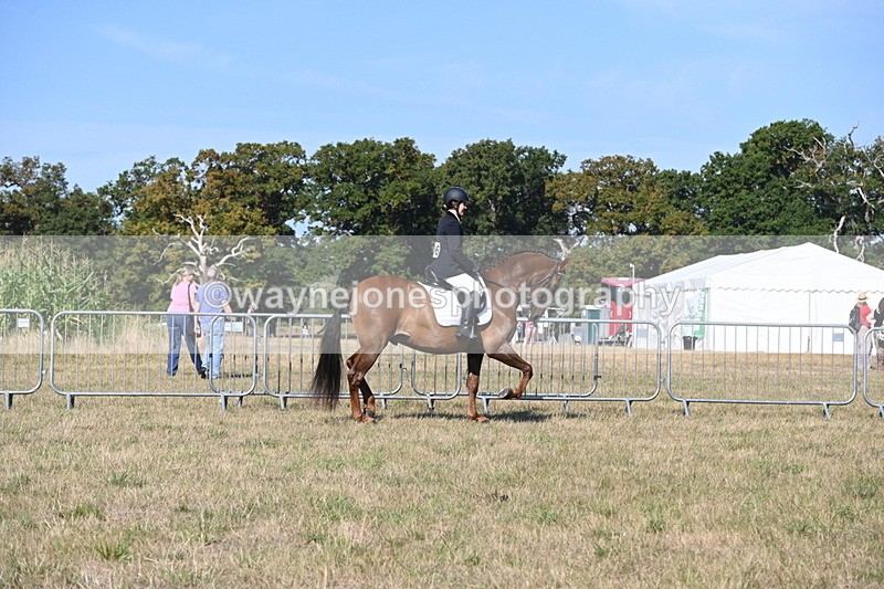 WJ6_7211 - Class 33 Rescue Pony
