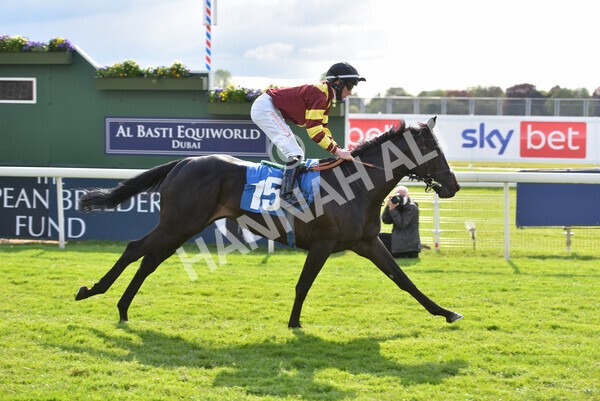 yr12052021r7-33 - Race 7 4.50 pm Conundrum HR Consulting Stakes