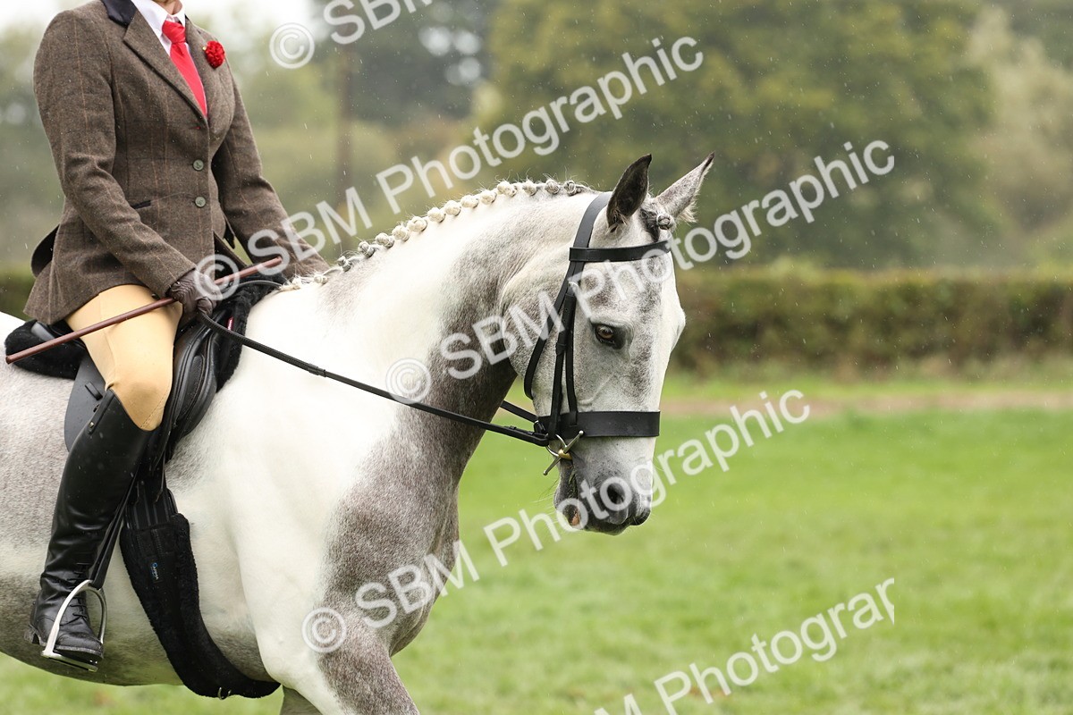 SBM_69874 - S68 - Other Coloured Horse Ridden