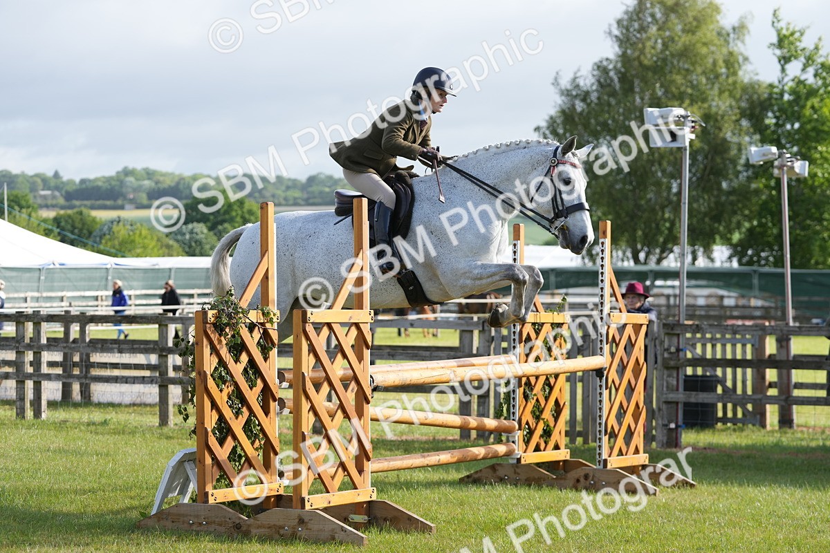 SBM_10561 - Class 97-98 - LIHS BSHA Rising Star Working Show Horse Hunter