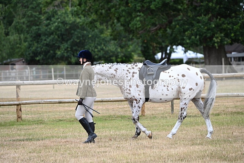 WJ6_3770 - Class 9 Tack & Turnout