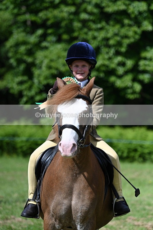 WJ7_0869 - Class 8 First Rally Pony