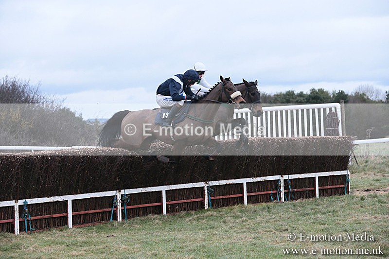 PtP 230119 149 - Royal Artillery Point-to-Point  - Larkhill  - 26/01/19