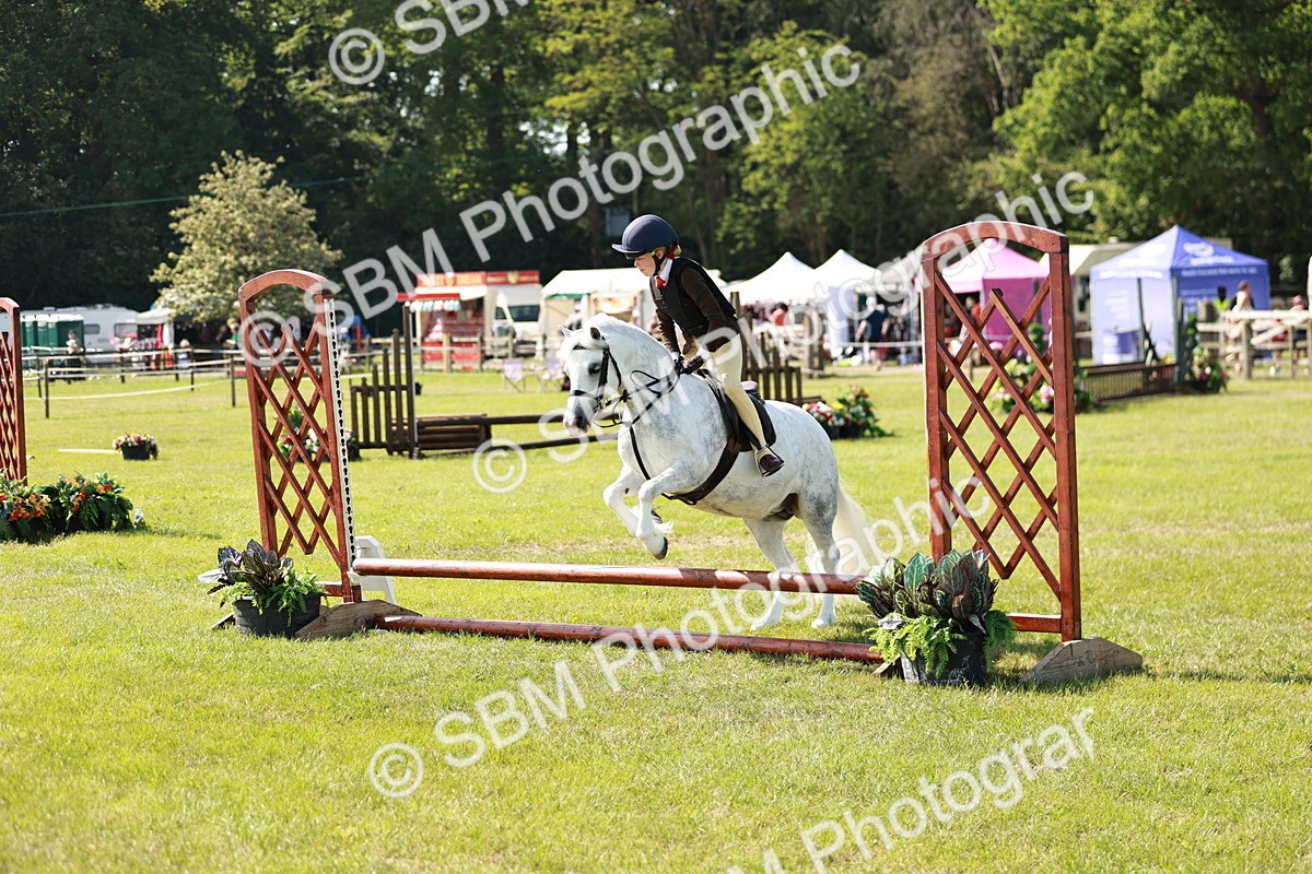 SBM_12685 - Class 106-107 - BSPS LIHS Working Sports Pony